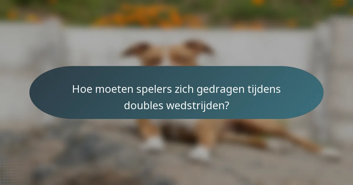 Hoe moeten spelers zich gedragen tijdens doubles wedstrijden?